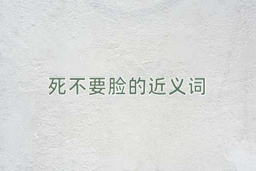 死不要脸的近义词