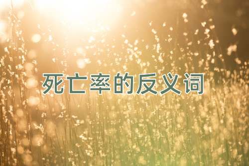 死亡率的反义词