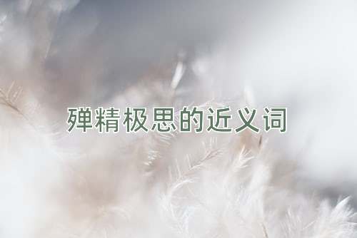 殚精极思的近义词