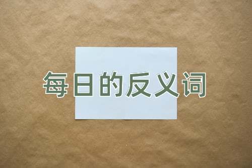 每日的反义词