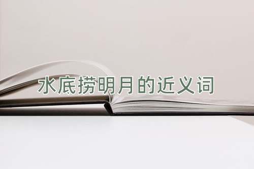 水底捞明月的近义词