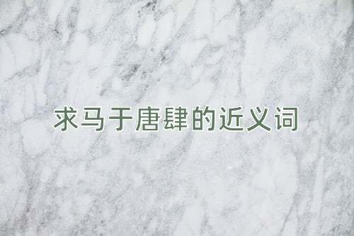 求马于唐肆的近义词