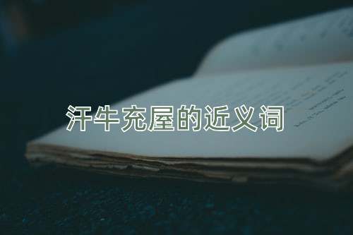 汗牛充屋的近义词