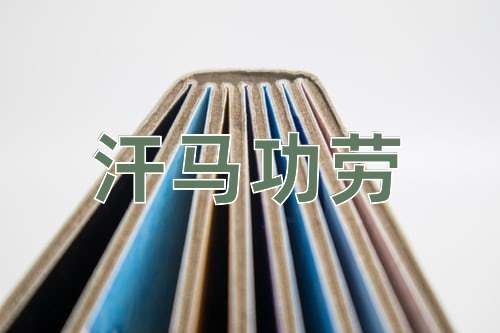 成语汗马功劳