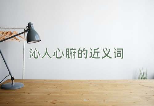 沁人心腑的近义词
