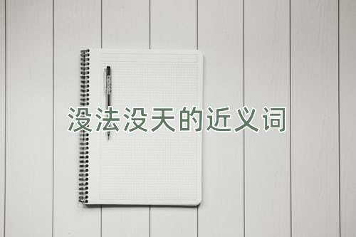 没法没天的近义词
