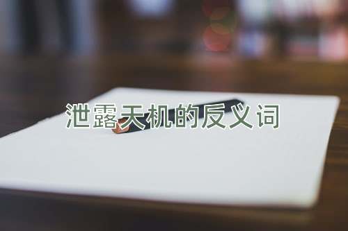 泄露天机的反义词