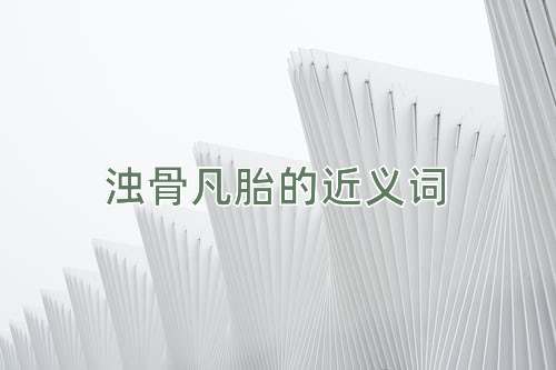 浊骨凡胎的近义词
