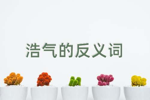 浩气的反义词