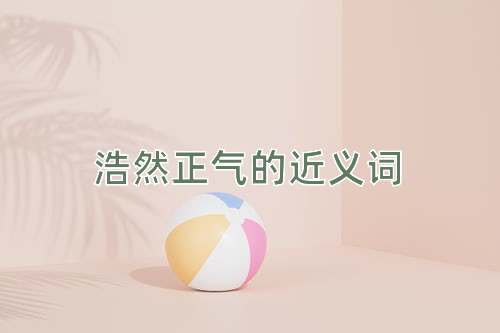 浩然正气的近义词