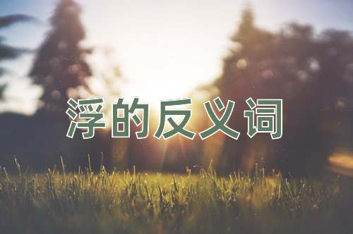 浮的反义词