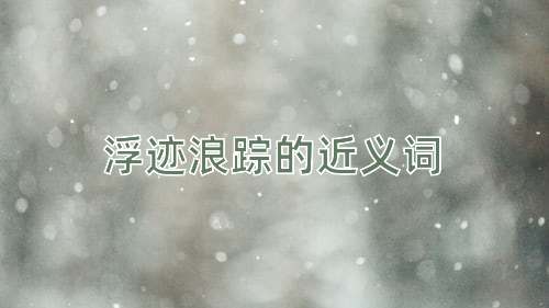浮迹浪踪的近义词