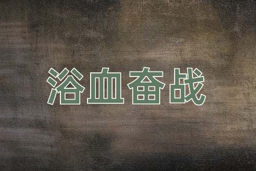 成语浴血奋战