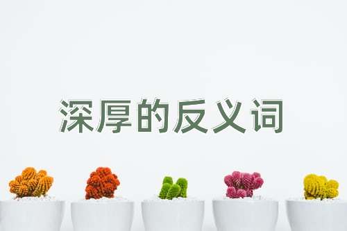深厚的反义词