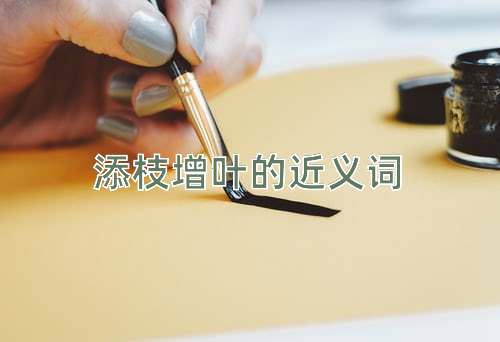 添枝增叶的近义词