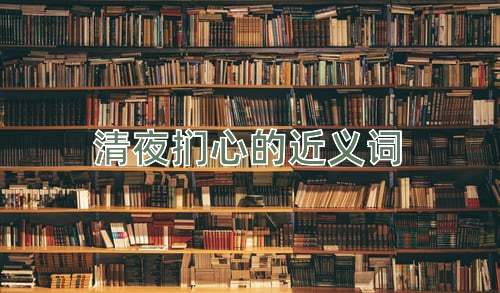 清夜扪心的近义词