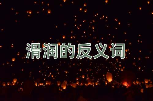 滑润的反义词