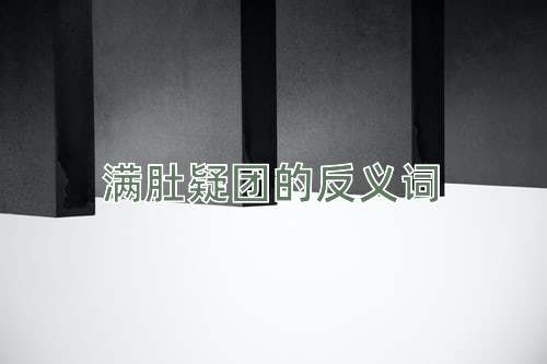 满肚疑团的反义词