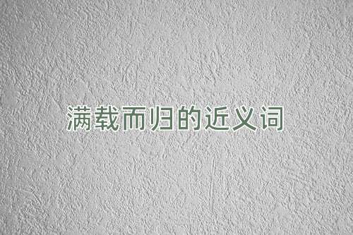 满载而归的近义词