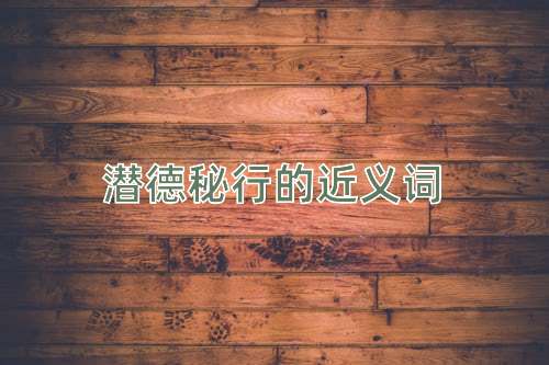 潜德秘行的近义词