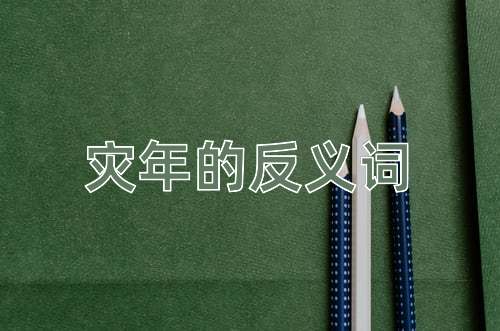 灾年的反义词