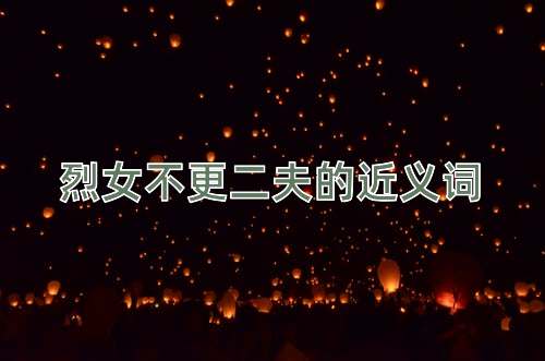 烈女不更二夫的近义词