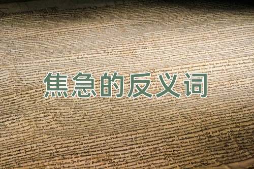 焦急的反义词