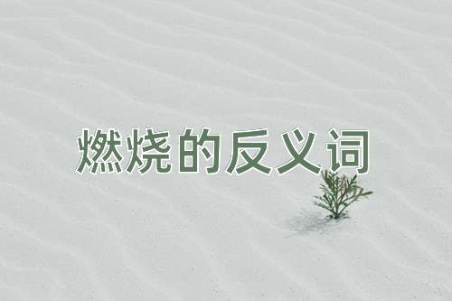 燃烧的反义词