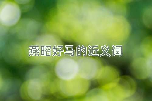 燕昭好马的近义词
