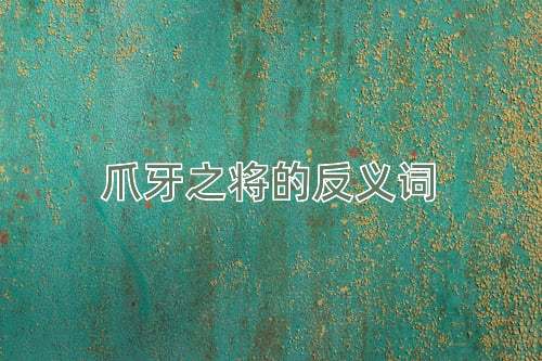 爪牙之将的反义词