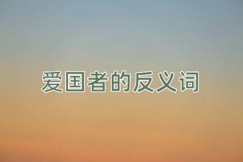 爱国者的反义词