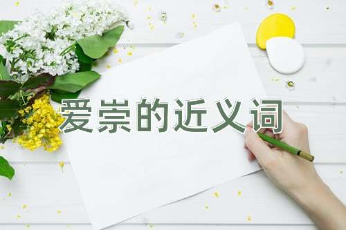 爱崇的近义词