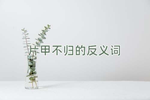片甲不归的反义词