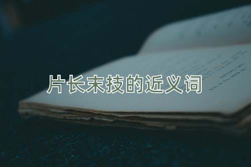 片长末技的近义词