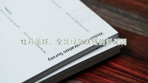 牡丹虽好，全凭绿叶扶持的近义词