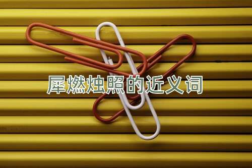 犀燃烛照的近义词