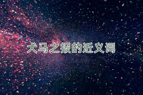 犬马之报的近义词