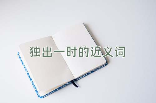 独出一时的近义词