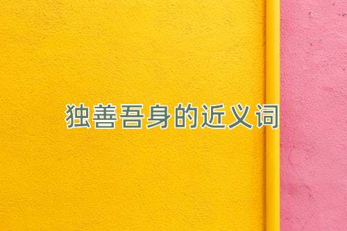 独善吾身的近义词