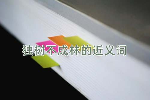 独树不成林的近义词