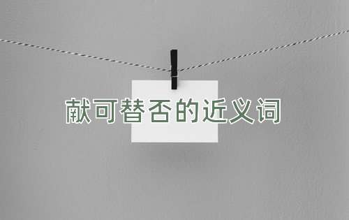 献可替否的近义词