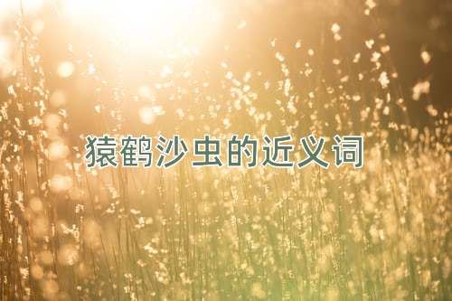 猿鹤沙虫的近义词