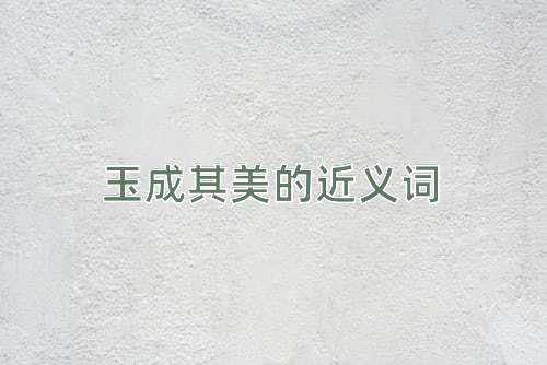 玉成其美的近义词