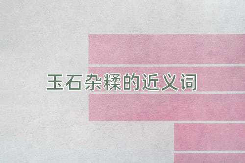 玉石杂糅的近义词