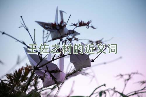 王佐之材的近义词