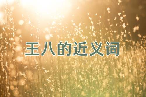 王八的近义词