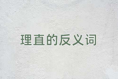 理直的反义词
