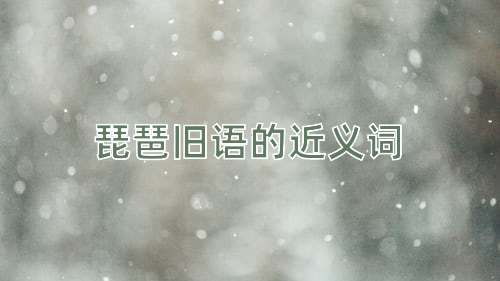 琵琶旧语的近义词