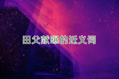 田父献曝的近义词