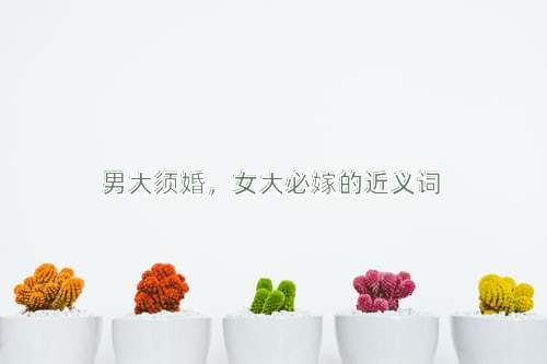 男大须婚，女大必嫁的近义词